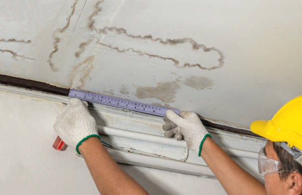 24/7 Emergency Structural Drying experts in Meadow, TX