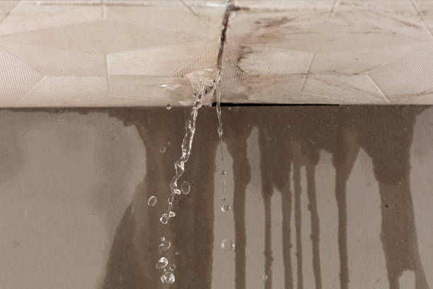 Professional Structural Drying technician working in Meadow, TX